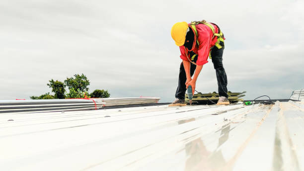 Steel Roofing in New Paris, IN